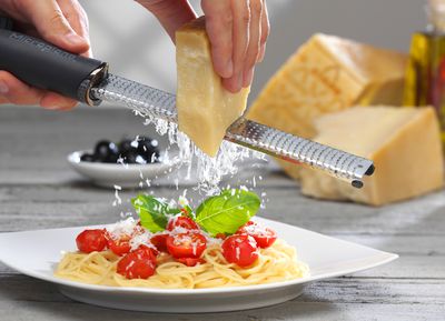 Zester46020parmesan.jpg