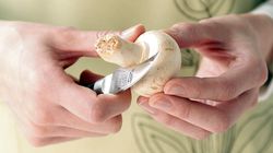 Vegetable/fruit knife, Peeling knife