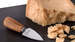 0 - 50 CHF, Couteau parmesan pointu