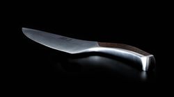 Coltello per verdure e frutti, Coltello da cuoco Synchros