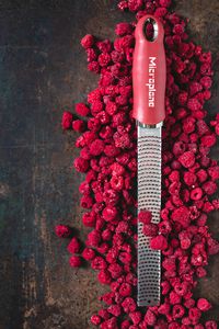 Microplane_Premium_Classic_46127_Zester_Pomegranate Red_Raspberries (2).jpg